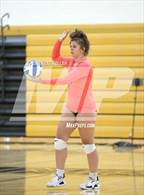 Photo from the gallery "Sterling Heights @ Adams"