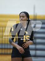 Photo from the gallery "Sterling Heights @ Adams"