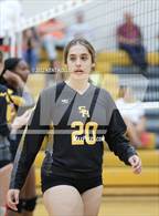 Photo from the gallery "Sterling Heights @ Adams"