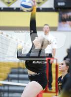 Photo from the gallery "Sterling Heights @ Adams"