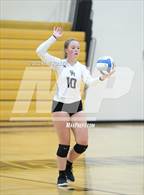 Photo from the gallery "Sterling Heights @ Adams"