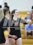 Photo from the gallery "Sterling Heights @ Adams"