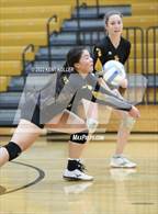 Photo from the gallery "Sterling Heights @ Adams"