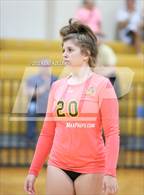 Photo from the gallery "Sterling Heights @ Adams"