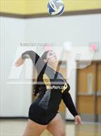 Photo from the gallery "Sterling Heights @ Adams"