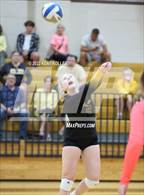 Photo from the gallery "Sterling Heights @ Adams"