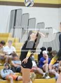Photo from the gallery "Sterling Heights @ Adams"