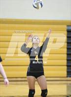 Photo from the gallery "Sterling Heights @ Adams"