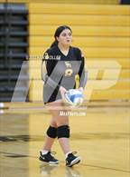 Photo from the gallery "Sterling Heights @ Adams"