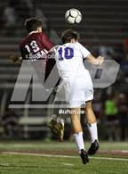 Photo from the gallery "Livonia @ Aquinas Institute"