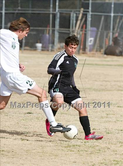 Thumbnail 1 in Canyon del Oro vs Amphi (Chris Maier Tournament) photogallery.