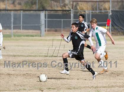Thumbnail 1 in Canyon del Oro vs Amphi (Chris Maier Tournament) photogallery.