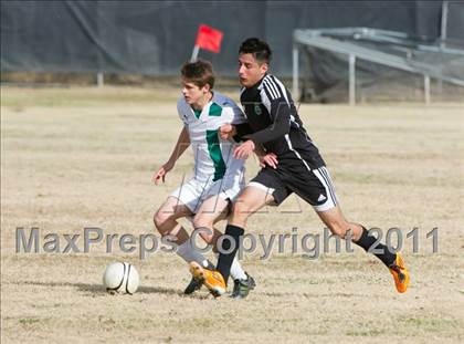 Thumbnail 3 in Canyon del Oro vs Amphi (Chris Maier Tournament) photogallery.