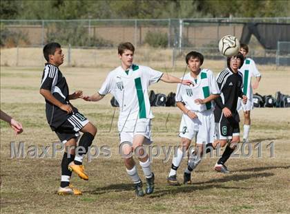Thumbnail 1 in Canyon del Oro vs Amphi (Chris Maier Tournament) photogallery.