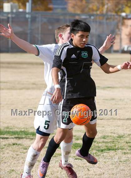 Thumbnail 3 in Canyon del Oro vs Amphi (Chris Maier Tournament) photogallery.