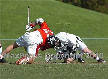 Thumbnail 3 in Cheshire @ Xavier photogallery.