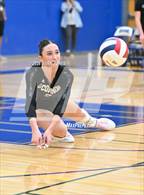 Photo from the gallery "Xavier College Prep @ O'Connor"