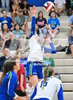 Photo from the gallery "Xavier College Prep @ O'Connor"