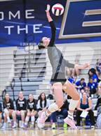 Photo from the gallery "Xavier College Prep @ O'Connor"