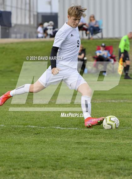 Thumbnail 2 in Pomona @ Columbine photogallery.