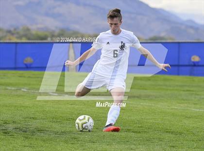 Thumbnail 1 in Pomona @ Columbine photogallery.