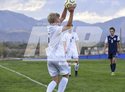 Thumbnail 1 in Pomona @ Columbine photogallery.