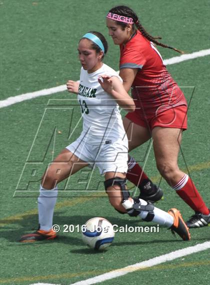 Thumbnail 1 in Lee [Robert E.] vs Reagan [Ronald] (Comalander Stadium) photogallery.