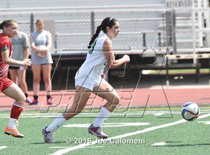Thumbnail 3 in Lee [Robert E.] vs Reagan [Ronald] (Comalander Stadium) photogallery.