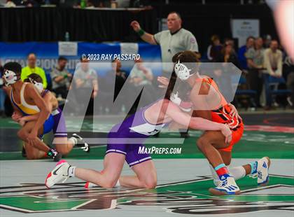 Thumbnail 1 in NYSPHSAA Wrestling Championships Quarter Finals 132 lbs - 172 lbs photogallery.