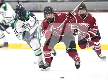 Thumbnail 1 in Williston @ Loomis photogallery.