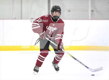 Thumbnail 2 in Williston @ Loomis photogallery.