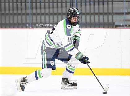 Thumbnail 1 in Williston @ Loomis photogallery.