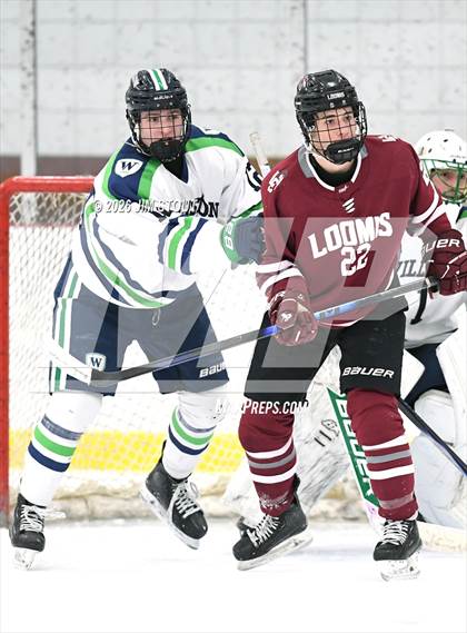 Thumbnail 1 in Williston @ Loomis photogallery.