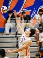 Photo from the gallery "Mesa @ Westwood"