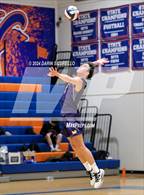 Photo from the gallery "Mesa @ Westwood"