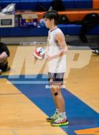Photo from the gallery "Mesa @ Westwood"