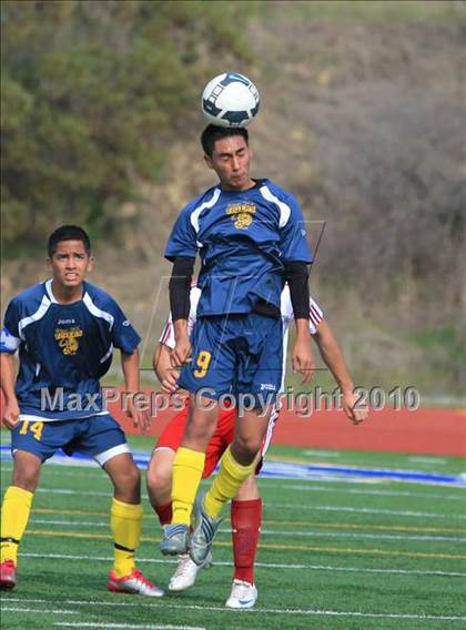 Thumbnail 2 in Morse vs. Sweetwater photogallery.