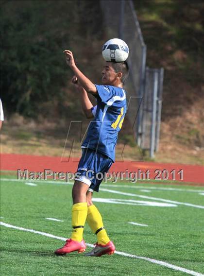 Thumbnail 1 in Morse vs. Sweetwater photogallery.