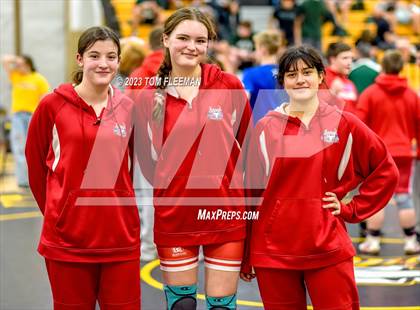 Thumbnail 2 in Shawnee MissionWest (West Girl's JV Tournament)  photogallery.