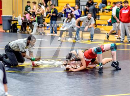 Thumbnail 2 in Shawnee MissionWest (West Girl's JV Tournament)  photogallery.