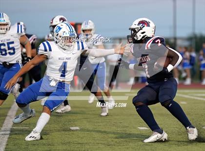 Thumbnail 3 in Wiils Point @ Life Waxahachie photogallery.