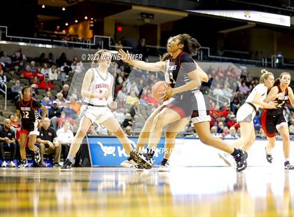 Thumbnail 1 in Holy Cross vs Dixie (2023 9th Region Girls Basketball Tournament) photogallery.
