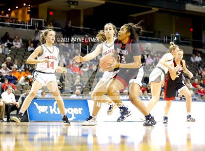 Thumbnail 3 in Holy Cross vs Dixie (2023 9th Region Girls Basketball Tournament) photogallery.