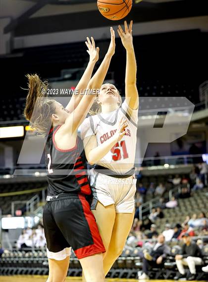 Thumbnail 2 in Holy Cross vs Dixie (2023 9th Region Girls Basketball Tournament) photogallery.