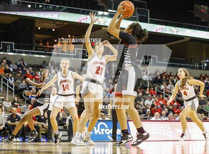 Thumbnail 1 in Holy Cross vs Dixie (2023 9th Region Girls Basketball Tournament) photogallery.