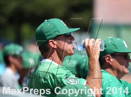Thumbnail 2 in Davis vs. St. Mary's (CIF SJS D1 Final - Game 3) photogallery.