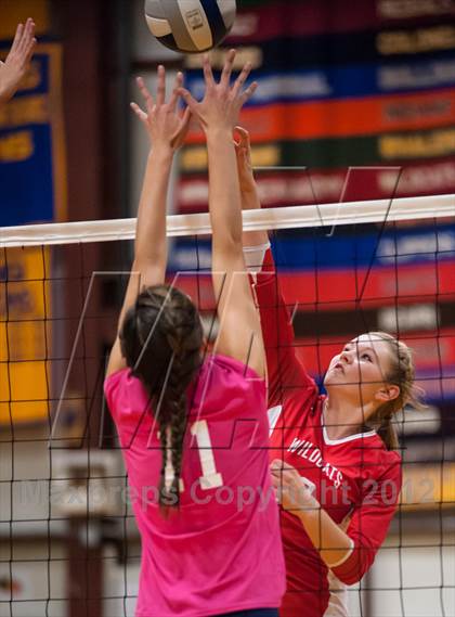 Thumbnail 1 in Norwich Free Academy @ Woodstock Academy photogallery.