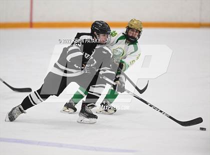 Thumbnail 2 in Xavier @ Notre Dame, WH (SCC D1 Final) photogallery.