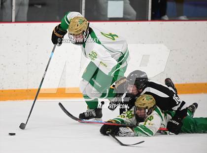 Thumbnail 2 in Xavier @ Notre Dame, WH (SCC D1 Final) photogallery.