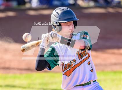 Thumbnail 1 in Casteel @ Campo Verde photogallery.